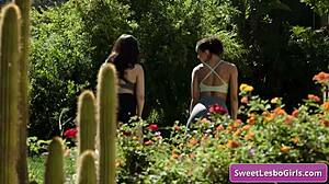 whitney wright seduces horny ebony teen alexis tae post sweaty workout