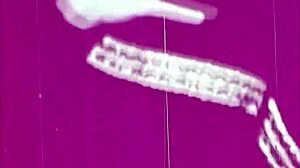 vintage lesbian orgy unleashes hairy pussy gangbang frenzy