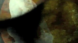 Vintage Erotic Art Teases Timeless Sensual Desires