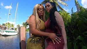 Ebony pawg breyana interracial big ass bonanza