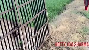desi girl wet pussy fucked outdoor missionary by boyfriend