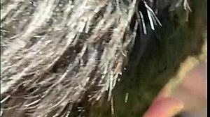 met a stranger jerking off on the trail and sucked him - free