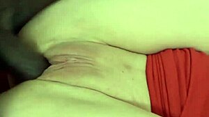 wanna see vera delight's shaved ass take that bbc after her pussy dip?