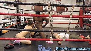 Cuckold boxer babe humiliates old man public monster cock handjob?