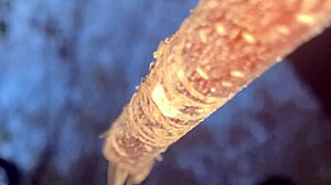 having sex with a real witch in woods doggystyle creampie 🌿🍆💦