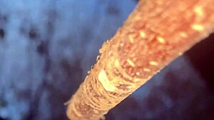 having sex with a real witch in woods doggystyle creampie 🌿🍆💦