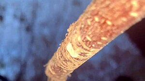 having sex with a real witch in woods doggystyle creampie 🌿🍆💦