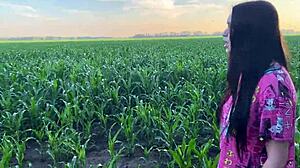 stepsis got so nervous in cornfield she needed stepbro's big cock comfort