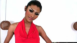 damn this ladyboy's round boobs and monster cock got me hard already