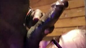 shy white wife sucks rides bbc bareback nonstop