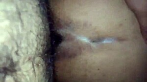 nalgona cuñada ass tits whipped begging anal fat curves