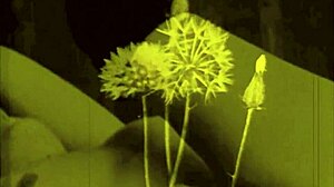 vintage erotic drawings capture antique retro sensual poses in classic style