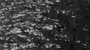 vintage erotic drawings capture antique retro sensual poses in classic style