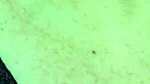 cruise slut hunts stranger to fuck shaved pussy raw