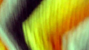 snoring giantess facefucked by tiny cock in fetish roleplay