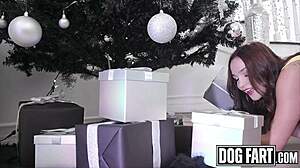 dogfart stepbae rissa mays' dripping pussy hammered by monster bbc