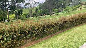 pregnant milf allison sweet fucks client hard to close the deal part 1