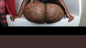 big ebony curves tease with massive assets