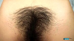 wanna see this guy play with her pussy hair before creampie?