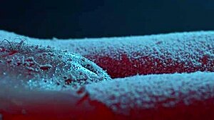 snow dusts my pretty tits and pussy closeup