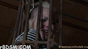 I can't stop fantasizing about my bound blonde babe slave's sexy jugs in hardcore BDSM toys play