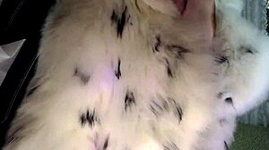 mature slut in luxurious fur coat delivers kinky wet pussy show