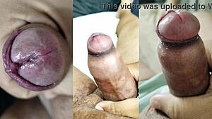 compilado punhetas gozadas pau pequeno fimose namorada novinha buceta