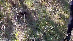 high heels strut through forest in pantyhose 👠🌲