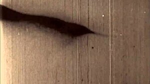 vintage erotic retro illustration antique tease