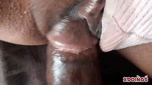 sexy amateur pussy begs for spoiling creampie fuck