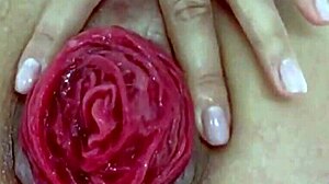 Juicy prolapsed asshole teases after anal destruction close-up play