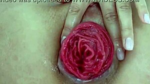 Juicy prolapsed asshole teases after anal destruction close-up play