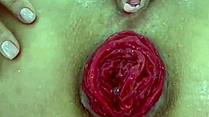 Juicy prolapsed asshole teases after anal destruction close-up play