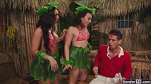 horny shemale island! 🏝️🍆