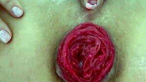 Juicy prolapsed asshole teases after anal destruction close-up play