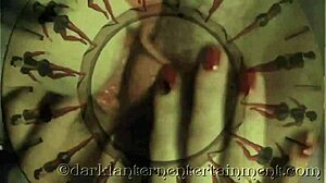 Hey, dark lantern's my secret life—victorian gent's wild erotic confessions.