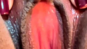 perdi minha virgindade vem ver minha rosa vermelha anal