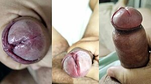 compilado: gozadas punhetas small cock fimose—namorada novinha goza bucetinha peitos!