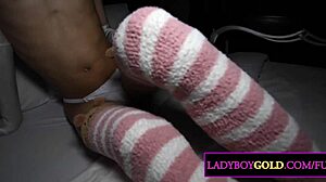 wanna see petite asian shemale pooh's big cock blowjob?