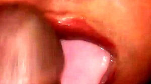 balls get milked raw in this sloppy lactating blowjob session close up