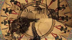 Dark lantern entertainment presents my secret life vintage hairy classic