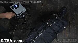 Feel the Sting of BDSM Flogging in HD Femdom!