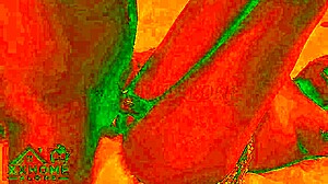 romantic ebony sex glows in cozy red-lit room curves
