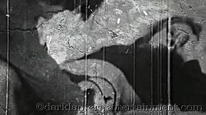 Dark lantern entertainment presents my secret life vintage hairy classic