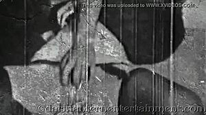 Dark lantern entertainment presents my secret life vintage hairy classic