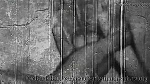 Dark lantern entertainment presents my secret life vintage hairy classic