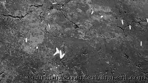 Dark lantern entertainment presents my secret life vintage hairy classic