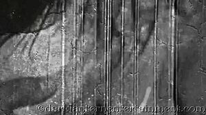 Dark lantern entertainment presents my secret life vintage hairy classic