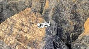 juicy wife whore flashes wet beach pussy, teasing strangers with her naughty outdoor reveal