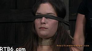 Sweet Hottie Enters Cage for Hardcore Pounding